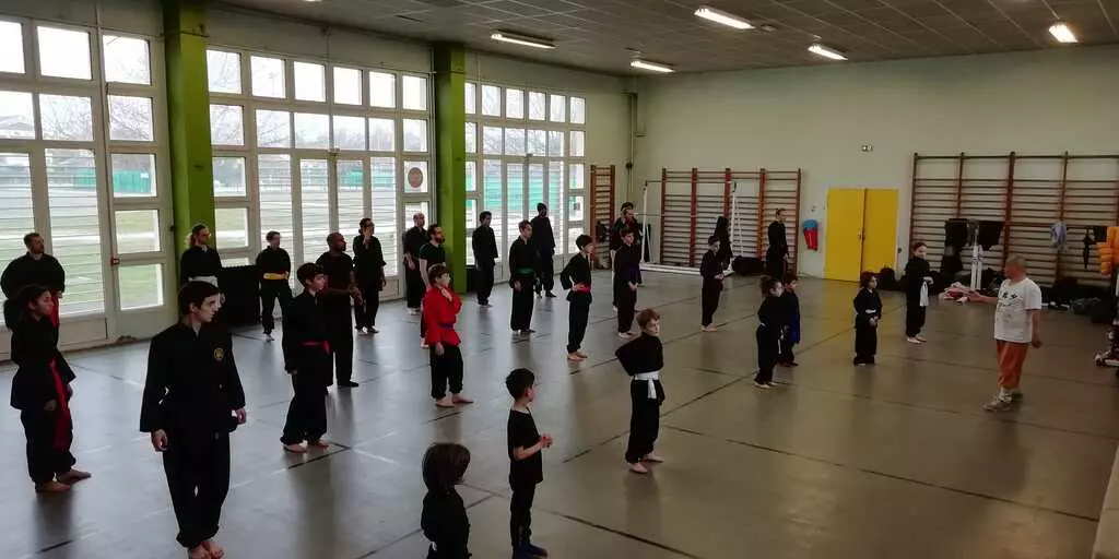 Cours enfant kung fu