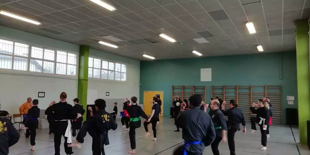 Cours kung fu bordeaux
